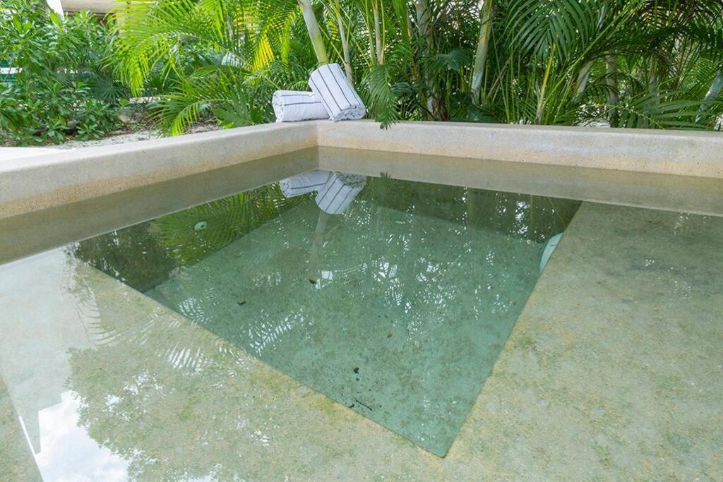 2 Bedroom + Private Pool And Roof Top Terrace Appartement *
